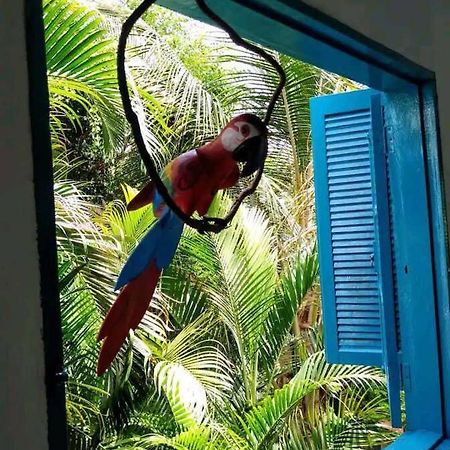 Вилла Casa Ilhabela A Cinco Minutos Do Centro Экстерьер фото