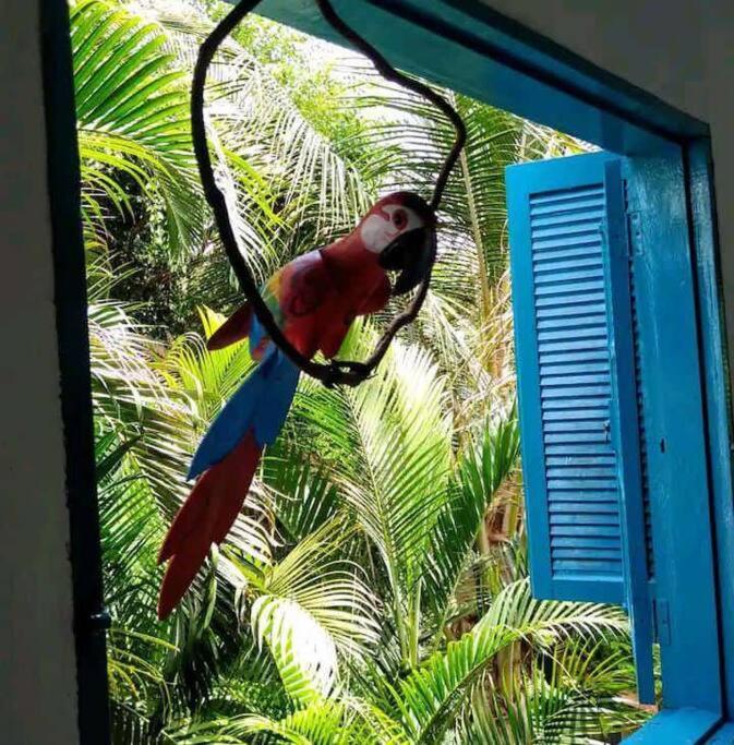Вилла Casa Ilhabela A Cinco Minutos Do Centro Экстерьер фото